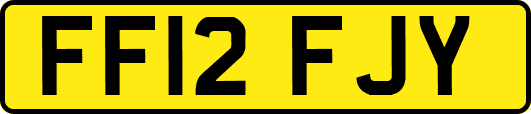FF12FJY