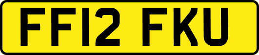 FF12FKU