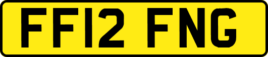 FF12FNG
