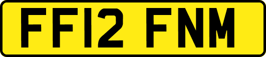 FF12FNM