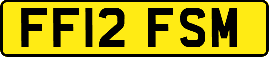 FF12FSM