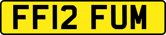 FF12FUM