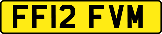 FF12FVM