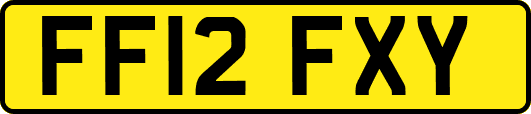 FF12FXY