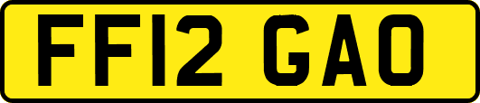 FF12GAO