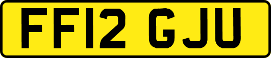FF12GJU