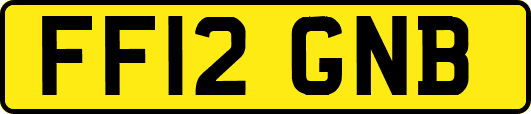 FF12GNB