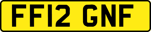 FF12GNF