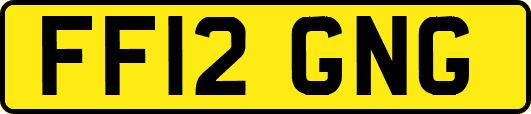 FF12GNG