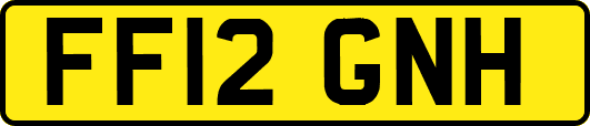 FF12GNH