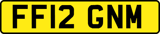 FF12GNM