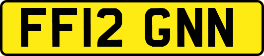 FF12GNN