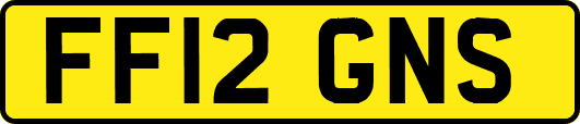 FF12GNS