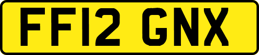 FF12GNX