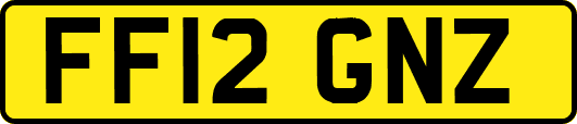 FF12GNZ