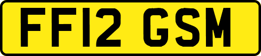FF12GSM