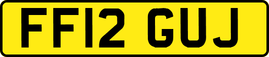 FF12GUJ