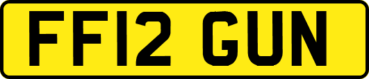 FF12GUN