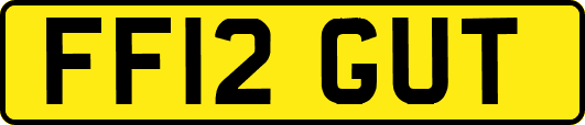 FF12GUT