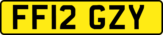 FF12GZY