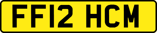 FF12HCM