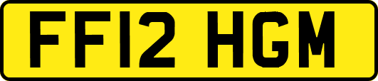 FF12HGM