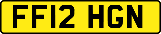 FF12HGN