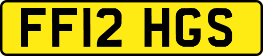 FF12HGS