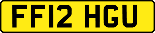 FF12HGU