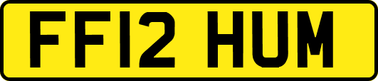 FF12HUM