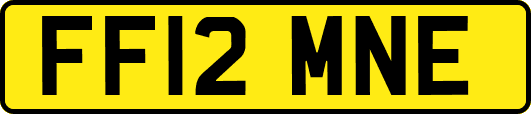 FF12MNE
