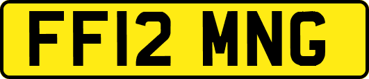 FF12MNG