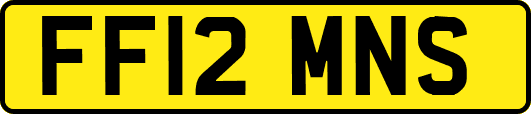 FF12MNS