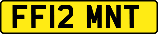 FF12MNT