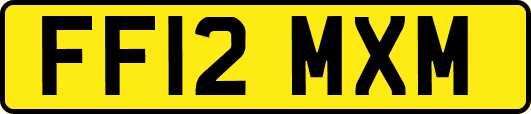 FF12MXM