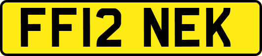 FF12NEK
