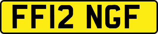 FF12NGF
