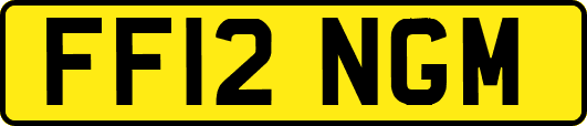 FF12NGM