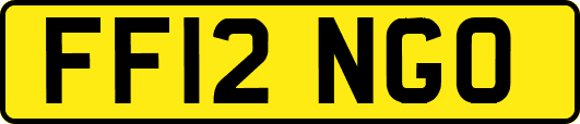 FF12NGO