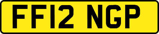FF12NGP
