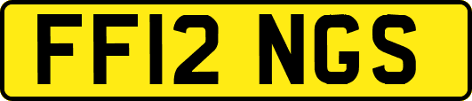FF12NGS
