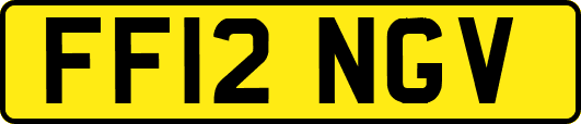 FF12NGV