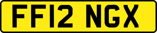 FF12NGX