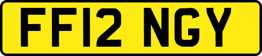 FF12NGY