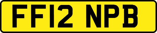 FF12NPB