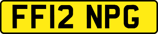 FF12NPG