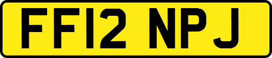 FF12NPJ