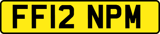 FF12NPM