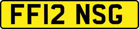 FF12NSG