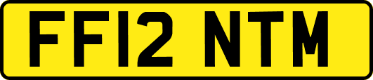 FF12NTM